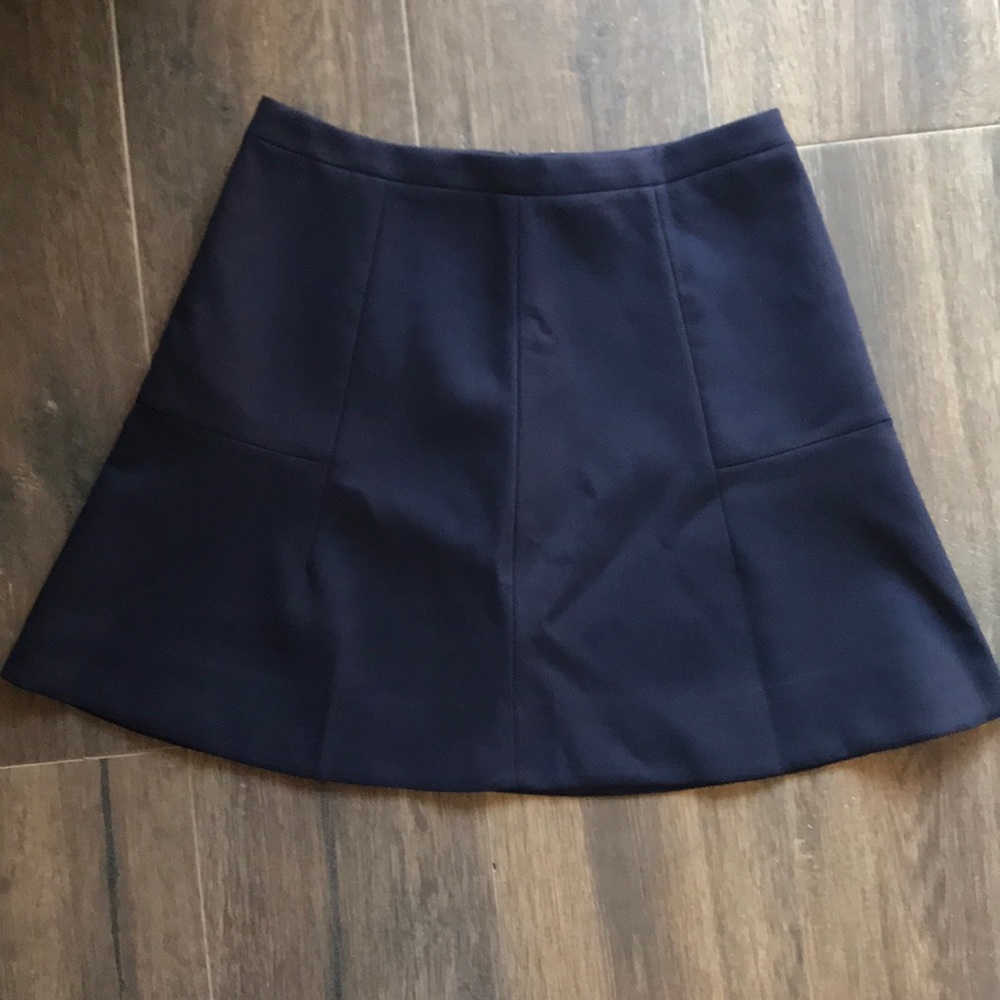 JCrew Flared Skirt